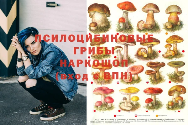 мет Баксан