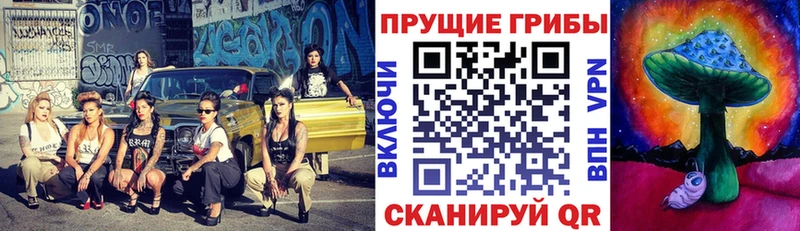Галлюциногенные грибы мицелий Высоцк