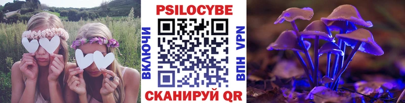 Галлюциногенные грибы Cubensis Высоцк